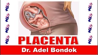 Placenta Dr Adel Bondok [upl. by Werdn]