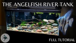 GORGEOUS ANGELFISH RIVER AQUARIUM Complete Tutorial [upl. by Somar]