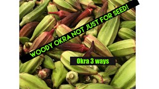 3 Different Ways to Save Okra [upl. by Almeeta983]