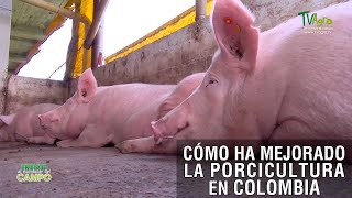 Cómo ha mejorado la porcicultura en Colombia  TvAgro por Juan Gonzalo Angel Restrepo [upl. by Aneehsram460]