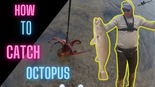 Witsands Kabeljou  how to catch octopus for bait [upl. by Agatha]