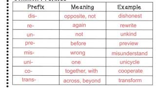 Roots and Affixes [upl. by Theis]