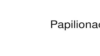 How to pronounce Papilionaceae [upl. by Carolann208]