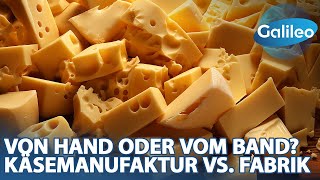 Alles für die Löcher Emmentaler aus der Käsemanufaktur vs aus der Fabrik [upl. by Macilroy]