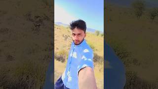 Tanhai milti hai mehfil nahi milti ♥️🙏 shortsviral bollywood youtubeshorts song [upl. by Berkshire]