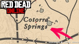 Visita A Cotorra Springs  Red Dead Redemption 2 Online  Desafios Diarios [upl. by Gilmer]