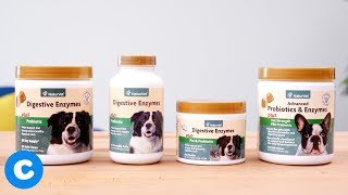 NaturVet Advanced Probiotic Supplements [upl. by Eidolem401]