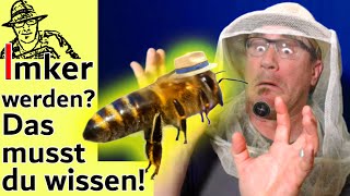 Bienen halten für Anfänger Tipps für ImkerNeulinge  die wichtigsten Antworten auf eure Fragen [upl. by Aihcrop]