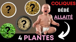 Soulagez les coliques de votre bébé avec ces 4 plantes [upl. by Ingamar]