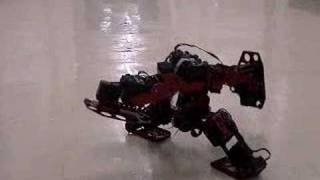 Fighter mini robot  ROBORAMAinfo [upl. by Torr]