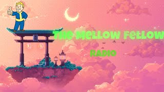 I Didnt Know The Gun Was Loaded  Mellow Fellow Radio [upl. by Aruol]