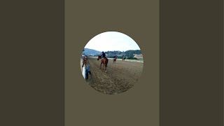 🏇ADELANTADOS PARA EL DIA DOMINGO 08092024 LA RINCONADA🏇 [upl. by Anauqat460]