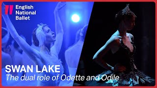 Swan Lake The dual role of Odette and Odile  English National Ballet [upl. by Lenaj309]