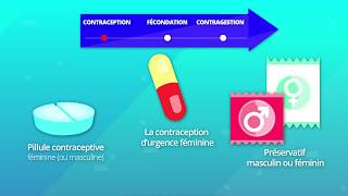 Hormones et procréation humaine SVT 2de [upl. by Anderea551]