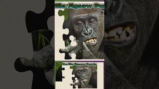 046 Gorilla Animal Jigsaw Puzzle [upl. by Salokcin]