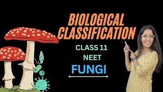 BIOLOGICAL CLASSIFICATION FUNGI  CLASS 11 NEET [upl. by Shaver]