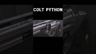 22 COLT PYTHON [upl. by Nalda461]