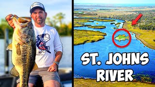 St Johns River Fishing Report Where Are The Bass [upl. by Areik]