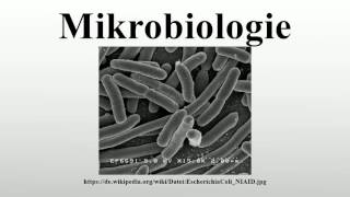 Mikrobiologie [upl. by Nesnah]