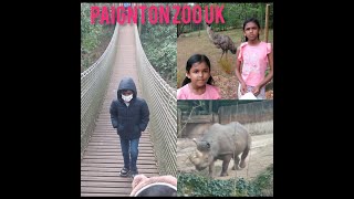 Paignton Zoo Tour Devon UK [upl. by Christy]