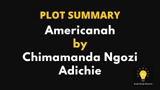 PLOT SUMMARY  Americanah by Chimamanda Ngozi Adichie [upl. by Noraf661]