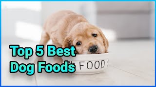 Top 5 Best Natural Dog Foods  Extreme Reviewer [upl. by Aldarcy]