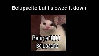 Belupacito slowed [upl. by Torrence]