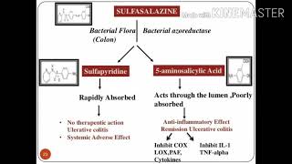 Sulfasalazine ใครกินอยู่บ้างลองฟังดูค่ะ [upl. by Aseefan]