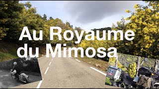 BMW R69S  Royal Enfield Himalayan  Au Royaume du Mimosa [upl. by Ecirtael]