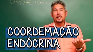 O que é Coordemação Endócrina  Extensivo Biologia  Descomplica [upl. by Carper]