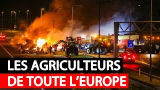 Les Agriculteurs de toute lEurope se mobilisent encore [upl. by Thetisa]