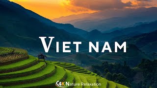 Relaxing Music with Beautiful Landscapes of Vietnam  Nature Relaxation [upl. by Ihskaneem]