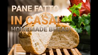 Ricetta PANE FATTO IN CASA con BIGA al 50  HOMEMADE BREAD ENG SUB [upl. by Retsim376]