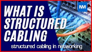 Introduction to LAN  Networking Basics [upl. by Sverre]