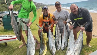 Getting Couta kayakfishing with Hudson [upl. by Ijar]