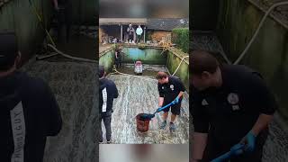 Swimming pool cleaning time lapse😳 shorts youtubeshorts [upl. by Bittner179]