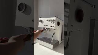 How to Backflush Your Home Ascaso Steel DUO PID Espresso Machine with Cafetto TEVO Mini Tablets [upl. by Norrej]