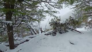 ¡Llegó la nieve al PILTRIQUITRON primavera blanca subiendo al Refugio  El Bolson Patagonia 2023 [upl. by Chainey]