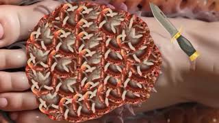 Maggots Removal ASMR  ASMR Remove infected Foot  Dog Ticks Removal  TalesOfTingles [upl. by Alyks]