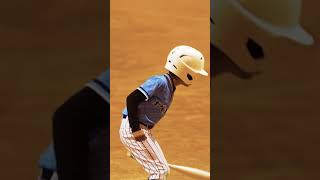 SoCal PONO 8U vs Cyclones 8U in Big League Dreams in West Covina on 1132024 shorts [upl. by Grimbal125]