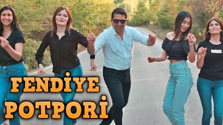 Şaban Gürsoy  Fendiye  Elmayı Nazik Soydum  Edalı Modalı Yar  Potpor i Oyun Havası [upl. by Shirlie]