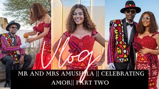 WEDDING VLOG MR amp MRS Amushila🥰  The night is still young  Part 2 [upl. by Zilvia807]