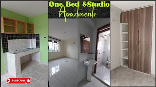 Newly Constructed StudioBedsitters ampOne Bedroom Apartment Along thika roadDETAILED house tour [upl. by Manville]