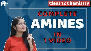 Amines Class 12 Chemistry One Shot NCERT Chapter 13  CBSE NEET JEE [upl. by Eednar493]