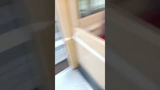 Europäische Schule trainspotting tram Burgerpommes Leontin icrimax Marvinvlogt [upl. by Selym140]