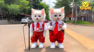 ANIMASI KUCING SEKOLAH NYANYI SYAIR RAHMATUN LILALAMEEN KITTYDAV KUCING WARNA WARNI GEMOY [upl. by Scott]