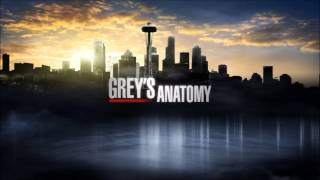 Greys Anatomy Soundtrack Brandi Carlile  Throw It All Away [upl. by Losyram]