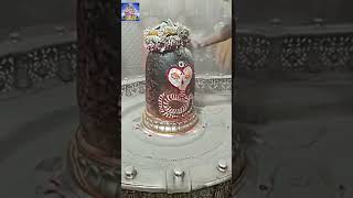 quotMahakaleshwar Jyotirlinga Darshan  Ujjain  Sawan Month Specialquot shorts [upl. by Bellaude]