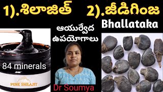 Shilajit uses amp Benefits in Ayurveda How to use  శిలాజిత్ అంటే ఏంటి Bhallataka UsesDr Soumya [upl. by Lotsyrk]