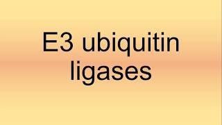 E3 Ubiquitin Ligases Pronunciation  How to Say  How to Pronounce [upl. by Notnyw]